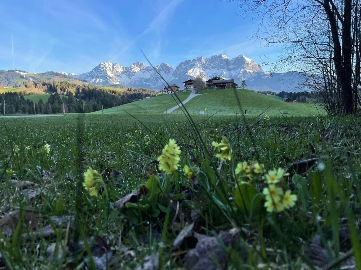 Appartamento Mountain Vista - Bio Yoga Hof Kitzbühel Esterno foto
