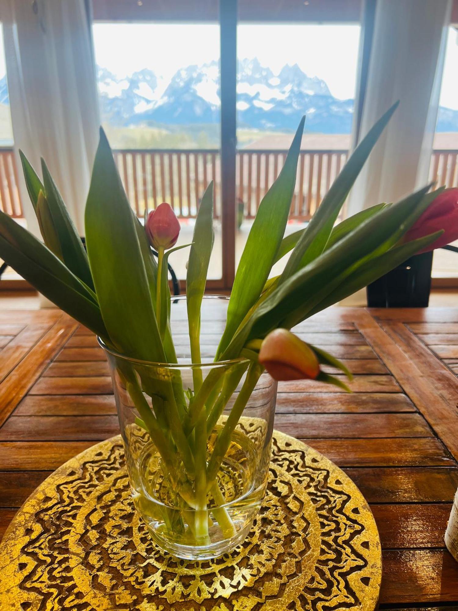 Appartamento Mountain Vista - Bio Yoga Hof Kitzbühel Esterno foto
